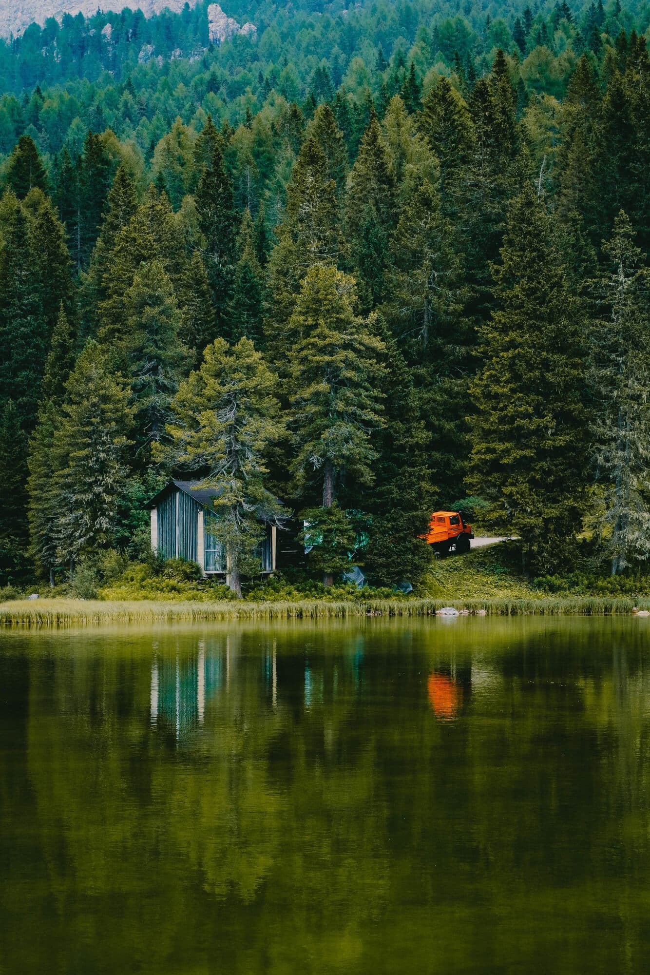 Nature 1
